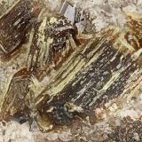 Enstatite, Aegirine<br />Lemolo Lake, Clearwater, Douglas County, Oregon, USA<br />FOV = 1.8 mm<br /> (Author: Doug)