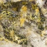 Aegirine, HematiteSummit Rock, Klamath County, Oregon, USAFOV = 2.6 mm (Author: Doug)