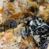 Phlogopite, Hematite<br />Summit Rock, Klamath County, Oregon, USA<br />FOV = 3.8 mm<br /> (Author: Doug)
