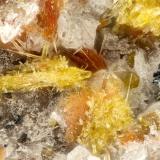 Phlogopite, Aegirine, HematiteSummit Rock, Klamath County, Oregon, USAFOV = 1.7 mm (Author: Doug)