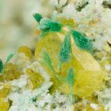 Wulfenite, Malachite<br />Santa Rita Mountains, Helvetia-Rosemont District, Pima County, Arizona, USA<br />FOV = 2.8 mm<br /> (Author: Doug)