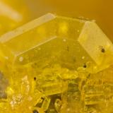 WulfeniteRawhide Mine, Rawhide Wash, Artillery Mountains, Mohave County, Arizona, USAFOV = 1.1 mm (Author: Doug)
