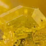 Wulfenite<br />Rawhide Mine, Rawhide Wash, Artillery Mountains, Mohave County, Arizona, USA<br />FOV = 1.1 mm<br /> (Author: Doug)