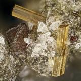 Fluoro-edenite<br />Lemolo Lake, Clearwater, Douglas County, Oregon, USA<br />FOV = 1.8 mm<br /> (Author: Doug)