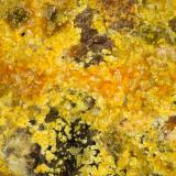 Clinobisvanite<br />Linka Mine, Spencer Hot Springs, Austin, Lander County, Nevada, USA<br />FOV = 1.8 mm<br /> (Author: Doug)
