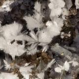 Hemimorphite<br />Simon Mine, Bell District, Mineral County, Nevada, USA<br />FOV = 3.8 mm<br /> (Author: Doug)