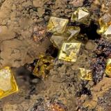 Adamite<br />Simon Mine, Bell District, Mineral County, Nevada, USA<br />FOV = 3.2 mm<br /> (Author: Doug)
