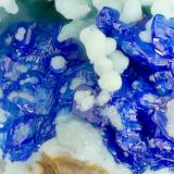 Linarite<br />Blanchard Mine (Portales-Blanchard Mine), Bingham, Hansonburg District, Socorro County, New Mexico, USA<br />FOV = 3.4 mm<br /> (Author: Doug)