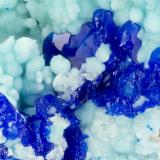 Linarite<br />Blanchard Mine (Portales-Blanchard Mine), Bingham, Hansonburg District, Socorro County, New Mexico, USA<br />FOV = 3.3 mm<br /> (Author: Doug)