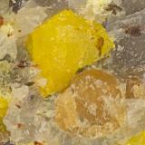 Pottsite, Grossular<br />Linka Mine, Spencer Hot Springs, Austin, Lander County, Nevada, USA<br />FOV = 1.7 mm<br /> (Author: Doug)