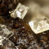 Adamite<br />Gold Hill Mine, Gold Hill, Gold Hill District, Tooele County, Utah, USA<br />FOV = 1.3 mm<br /> (Author: Doug)