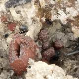 Enstatite<br />Summit Rock, Klamath County, Oregon, USA<br />FOV = 3.1 mm<br /> (Author: Doug)