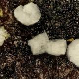 FluorapatiteTyrone Mine, Tyrone Area, Burro Mountains District, Grant County, New Mexico, USAFOV = 1.8 mm (Author: Doug)