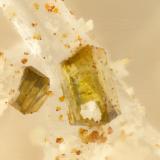 EpidoteMiddlemarch Canyon, Dragoon Mountains, Middle Pass District, Cochise County, Arizona, USAFOV = 0.7 mm (Author: Doug)