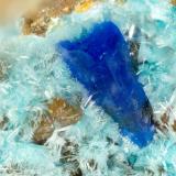 Linarite, Serpierite<br />Friedrichssegen Mine, Frücht, Bad Ems District, Lahn Valley, Rhineland-Palatinate/Rheinland-Pfalz, Germany<br />FOV = 1.3 mm<br /> (Author: Doug)