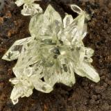 Austinite<br />Gold Hill Mine, Gold Hill, Gold Hill District, Tooele County, Utah, USA<br />FOV = 3.5 mm<br /> (Author: Doug)