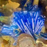 Linarite<br />Friedrichssegen Mine, Frücht, Bad Ems District, Lahn Valley, Rhineland-Palatinate/Rheinland-Pfalz, Germany<br />FOV = 1.5 mm<br /> (Author: Doug)
