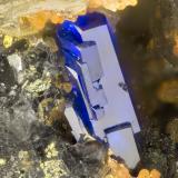 Linarite<br />Friedrichssegen Mine, Frücht, Bad Ems District, Lahn Valley, Rhineland-Palatinate/Rheinland-Pfalz, Germany<br />FOV = 1.8 mm<br /> (Author: Doug)