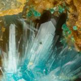 Serpierite, Brochantite<br />Friedrichssegen Mine, Frücht, Bad Ems District, Lahn Valley, Rhineland-Palatinate/Rheinland-Pfalz, Germany<br />FOV = 1.7 mm<br /> (Author: Doug)
