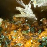 Serpierite, Brochantite<br />Friedrichssegen Mine, Frücht, Bad Ems District, Lahn Valley, Rhineland-Palatinate/Rheinland-Pfalz, Germany<br />FOV = 0.7 mm<br /> (Author: Doug)