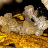 Pyromorphite, Goethite<br />Friedrichssegen Mine, Frücht, Bad Ems District, Lahn Valley, Rhineland-Palatinate/Rheinland-Pfalz, Germany<br />FOV = 1.5 mm<br /> (Author: Doug)