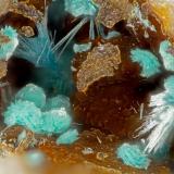 Schulenbergite, SerpieriteMina Friedrichssegen, Frücht, Distrito Bad Ems, Valle Lahn, Renania-Palatinado/Rheinland-Pfalz, AlemaniaFOV = 1.7 mm (Author: Doug)