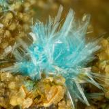 Serpierite<br />Friedrichssegen Mine, Frücht, Bad Ems District, Lahn Valley, Rhineland-Palatinate/Rheinland-Pfalz, Germany<br />FOV = 1.7 mm<br /> (Author: Doug)
