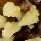 Mimetite<br />Potosí Mine, Santo Domingo (Francisco Portillo), Santa Eulalia District, Municipio Aquiles Serdán, Chihuahua, Mexico<br />FOV = 3.0 mm<br /> (Author: Doug)