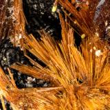 Beraunite<br />Three Oaks Gap workings, Three Oaks Gap, Polk County, Arkansas, USA<br />FOV = 3.8 mm<br /> (Author: Doug)