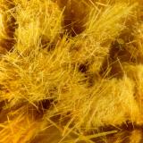 Cacoxenite<br />Three Oaks Gap workings, Three Oaks Gap, Polk County, Arkansas, USA<br />FOV = 1.6 mm<br /> (Author: Doug)