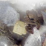 Peatite-(Y), Ramikite-(Y)<br />Poudrette Quarry, Mont Saint-Hilaire, La Vallée-du-Richelieu RCM, Montérégie, Québec, Canada<br />FOV = 2.0<br /> (Author: Doug)