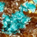 Eurekadumpite<br />Centennial Eureka Mine (Blue Rock), Eureka, Tintic District, East Tintic Mountains, Juab County, Utah, USA<br />FOV = 1.1 mm<br /> (Author: Doug)