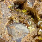 SegnititeHigher Roughton Gill (Balliway Rigg), Roughton Gill, Caldbeck Fells, Allerdale, (antes Cumberland), Cumbria, Inglaterra / Reino UnidoFOV = 2.0 mm (Author: Doug)