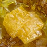 Wulfenite<br />Coombe Beck, Buttermere, Allerdale District, former Cumberland, Cumbria, England / United Kingdom<br />FOV = 2.0 mm<br /> (Author: Doug)
