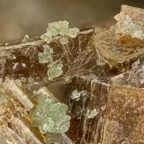 Vesuvianite<br />Morris claims, Banner Ridge, Benton Range, Chidago District, Mono County, California, USA<br />FOV = 3.7mm<br /> (Author: Doug)