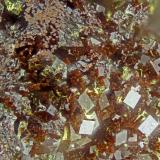 Pharmacosiderite<br />Wheal Gorland, Saint Day, Camborne - Redruth - Saint Day District, Cornwall, England / United Kingdom<br />FOV = 2.0 mm<br /> (Author: Doug)