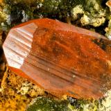 Crocoite<br />Platt Prospect, Dundas mineral field, Zeehan District, West Coast Council, Tasmania, Australia<br />FOV = 3.4 mm<br /> (Author: Doug)