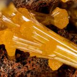 Mimetite<br />Sammy Dog Mine, Silver Bell Mountains, Silver Bell District, Pima County, Arizona, USA<br />FOV = 3.5 mm<br /> (Author: Doug)