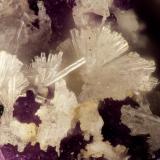 WillemiteMina Great Southern, Zona Wickenburg, Distrito Red Picacho, Condado Yavapai, Arizona, USAFOV = 1.1 mm (Author: Doug)