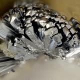 Stibnite<br />Goldstrike Mines, Deep Post orebody, Betze-Post pit, Lynn District, Eureka County, Nevada, USA<br />FOV = 1.9 mm<br /> (Author: Doug)