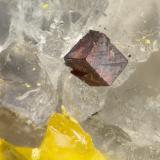 Galkhaite<br />Getchell Mine, Adam Peak, Potosi District, Osgood Mountains, Humboldt County, Nevada, USA<br />FOV = 1.1 mm<br /> (Author: Doug)