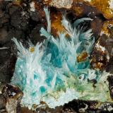 Aurichalcite<br />Exile and King claims, Santa Rita Mountains, Helvetia, Helvetia-Rosemont District, Pima County, Arizona, USA<br />FOV = 3.1 mm<br /> (Author: Doug)