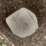 Faujasite-Ca<br />Table Mountain zeolite occurrence, Squaw Mountain, Shadow Mountains, San Bernardino County, California, USA<br />FOV = 1.2 mm<br /> (Author: Doug)