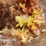 Pyromorphite<br />Escalante Mine, Mount Escalante, Escalante District, Iron County, Utah, USA<br />FOV = 2.1 mm<br /> (Author: Doug)
