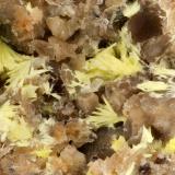 WeeksiteAutunite No. 8 Claim, Topaz Mountain, Topaz Range, Juab County, Utah, USAFOV = 3.3 mm (Author: Doug)