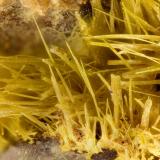 Ferrimolybdite<br />Crazy Basin property, Wickenburg Mountains, Cleator, Black Canyon District, Yavapai County, Arizona, USA<br />FOV = 3.8 mm<br /> (Author: Doug)