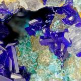 Azurite<br />Old Dick Mine, Santa Rita Mountains, Helvetia, Helvetia-Rosemont District, Pima County, Arizona, USA<br />FOV = 3.5 mm<br /> (Author: Doug)