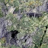 Glaucophane<br />Ward Creek, Coast Range, Cazadero, Sonoma County, California, USA<br />FOV = 3.8 mm<br /> (Author: Doug)