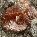 Siderite, MagnetiteDistrito Iron Springs, Condado Iron, Utah, USAFOV = 1.2 mm (Author: Doug)