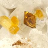 Wulfenite, VanadiniteColinas Vaca, Montes Silver Bell, Distrito Silver Bell, Condado Pima, Arizona, USAFOV = 0.9 mm (Author: Doug)